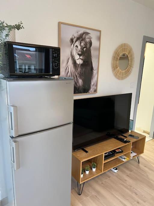 Adorable Appartement Strasbourg Neudorf Parking Sous Sol Esterno foto